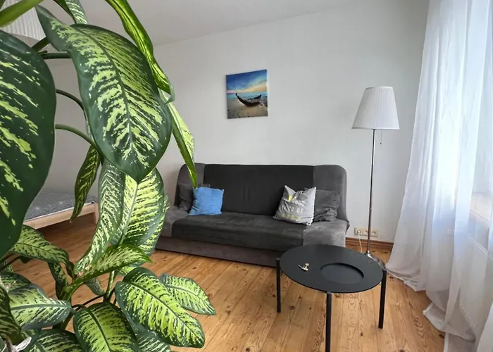 Amazing View Apartment
